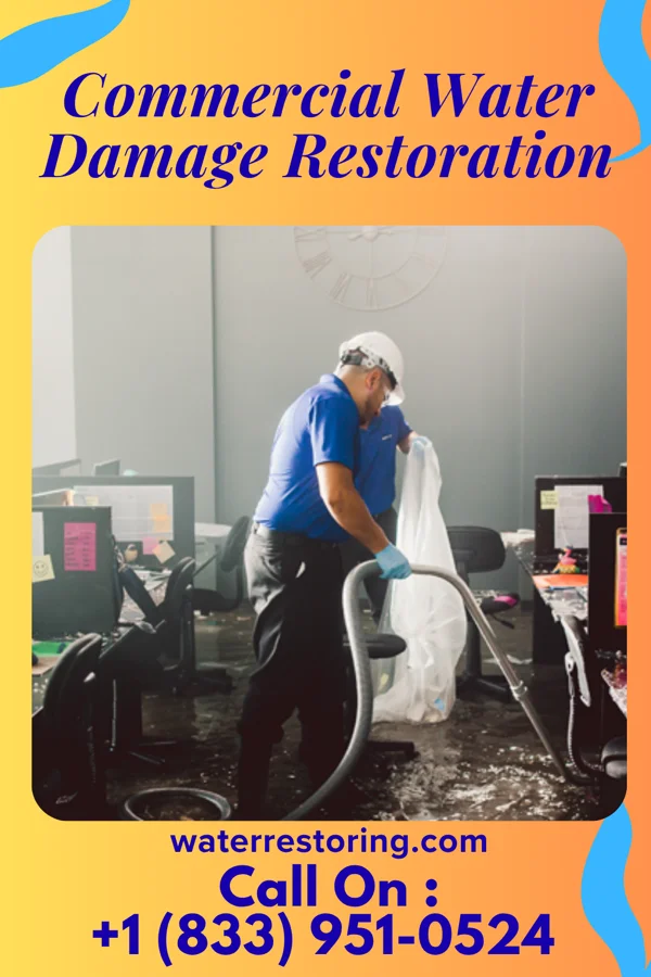 Commercial Water Damage Restoration in Section, AL