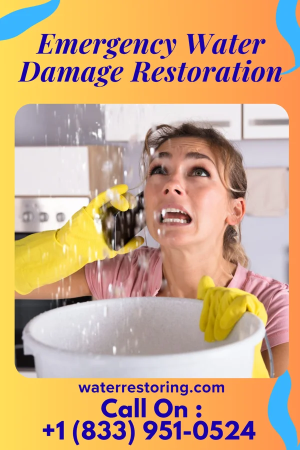Emergency Water Damage Restoration in Section, AL