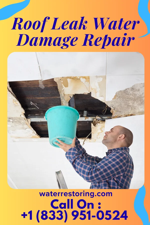 Roof Leak Water Damage Repair in Section, AL